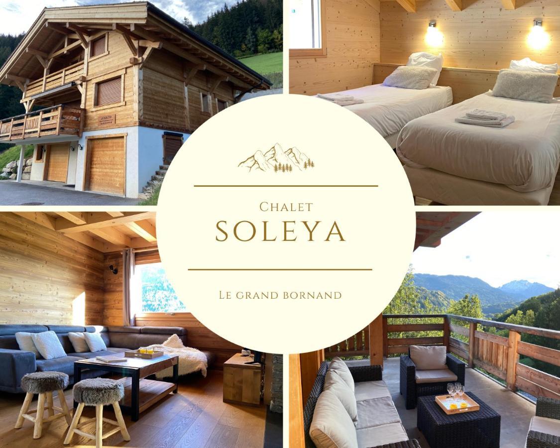 Chalet Soleya Ле-Гран-Борнан Экстерьер фото